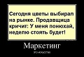 Нажмите на изображение для увеличения
Название: 12.jpg
Просмотров: 146
Размер:	61.3 Кб
ID:	820469