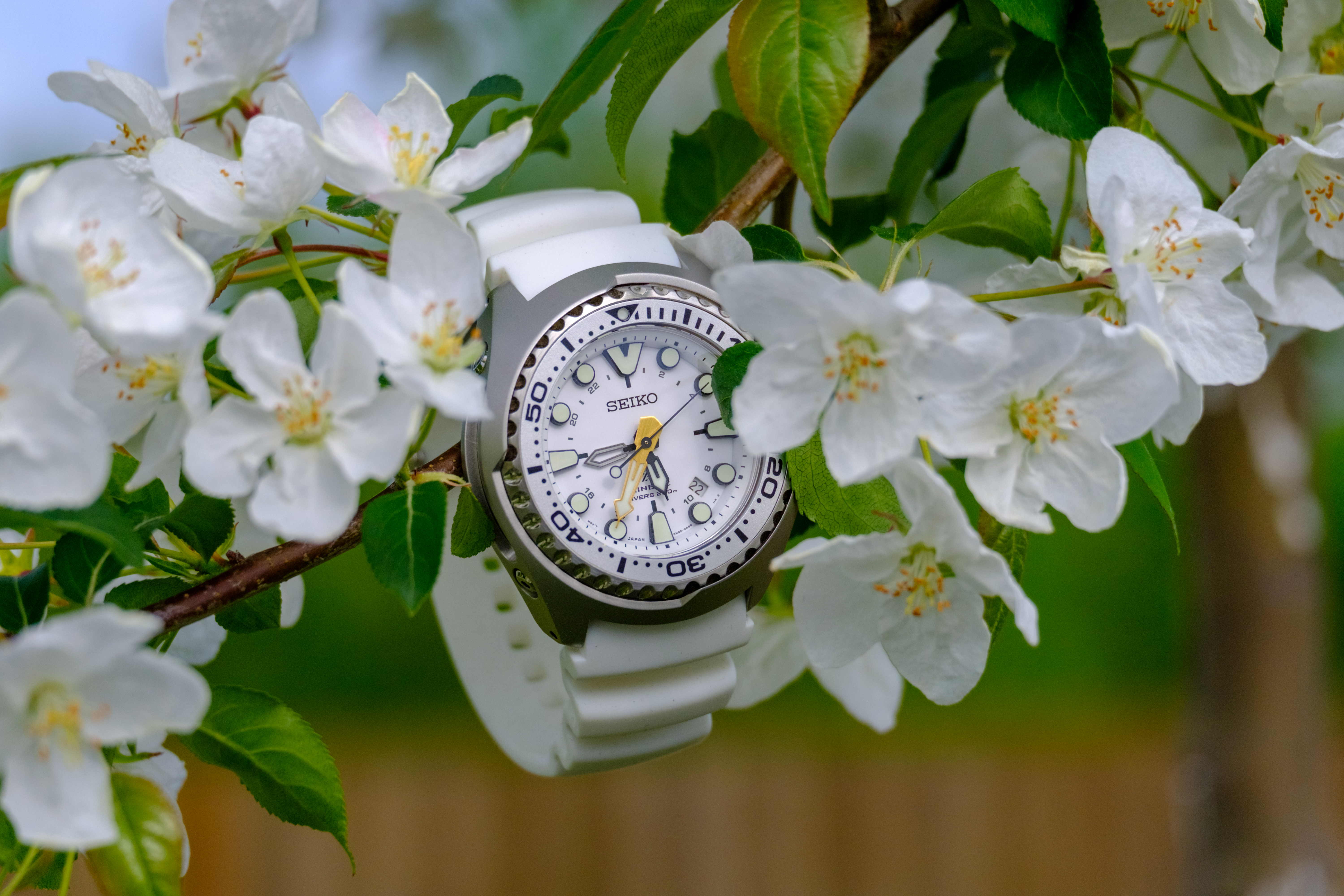Seiko yeti hotsell
