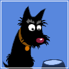 Аватар для Leocrazy
